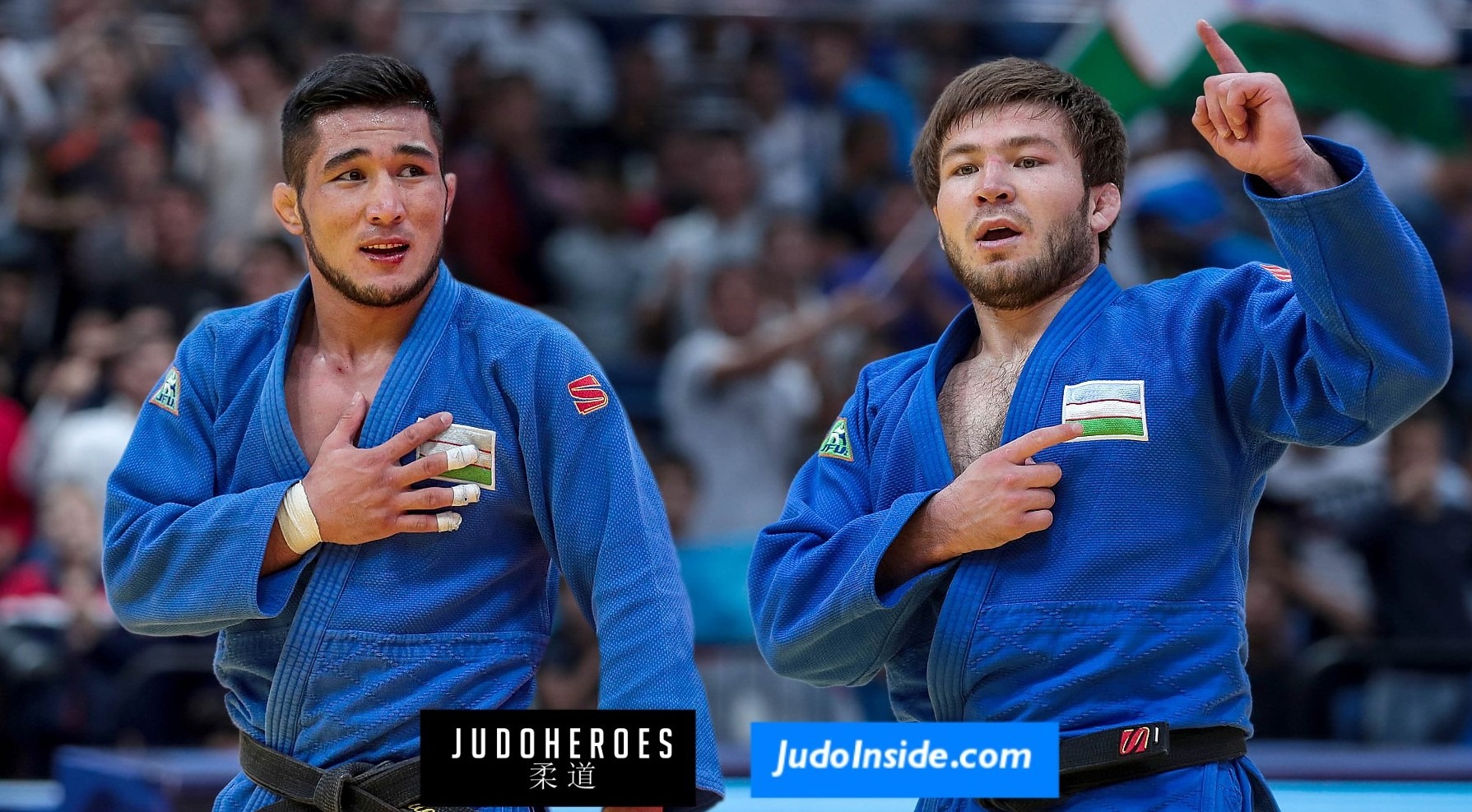 Shamil Borchashvili, Judoka, JudoInside