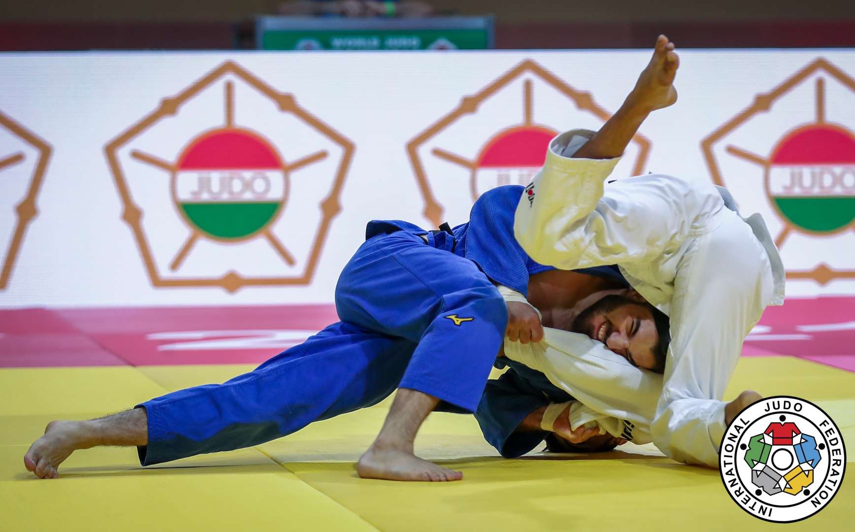 Иппон в дзюдо. World judo. Гранд слам дзюдо. World judo. 2005 финал по дзюдо.