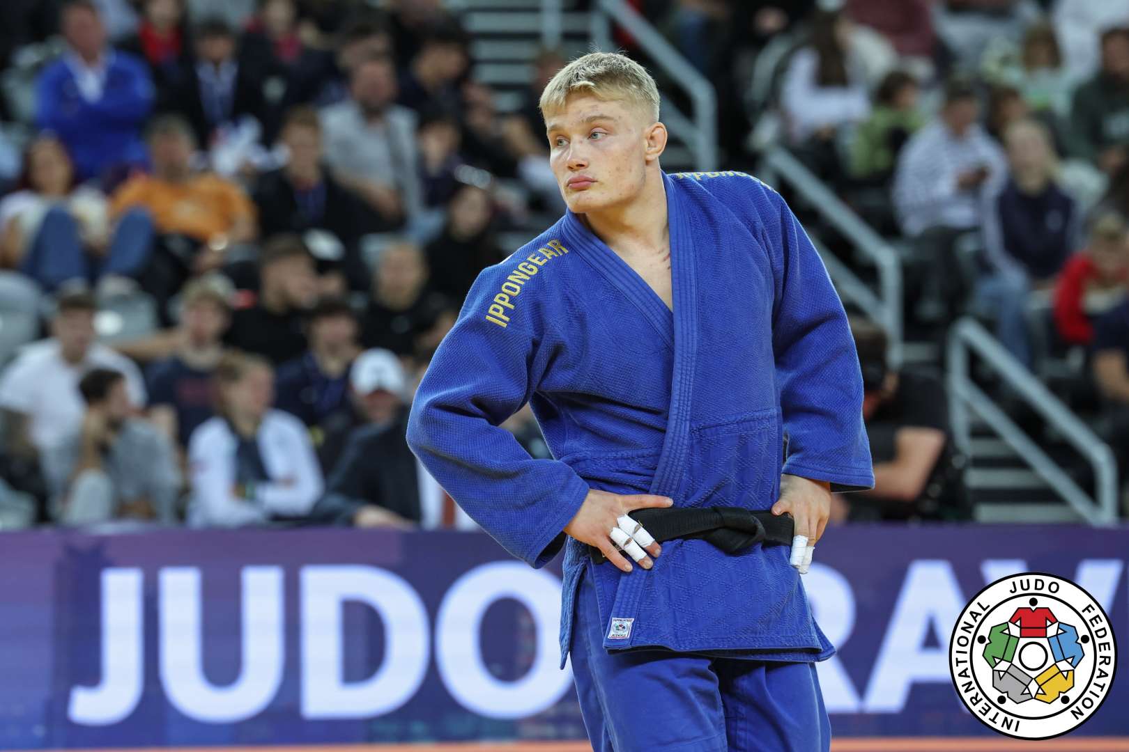 254_20240914_zagreb_gp_ijf_day2_final_ita_esposito_hun_szegedi_73kg_c_edf